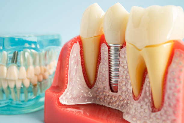 Best Preventive Dentistry  in Flowood, MS